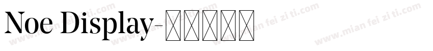 Noe Display字体转换